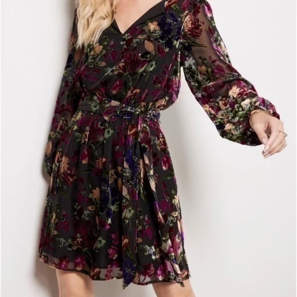 Evereve Ashlyn Velvet Burnout Dress